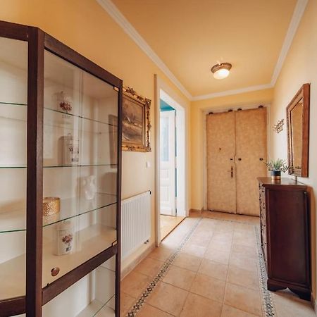 Magnificent Historical Penthouse In The Heart Of Prague Διαμέρισμα Εξωτερικό φωτογραφία