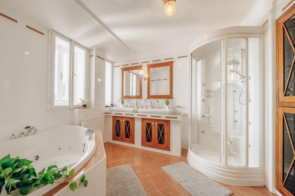 Magnificent Historical Penthouse In The Heart Of Prague Διαμέρισμα Εξωτερικό φωτογραφία