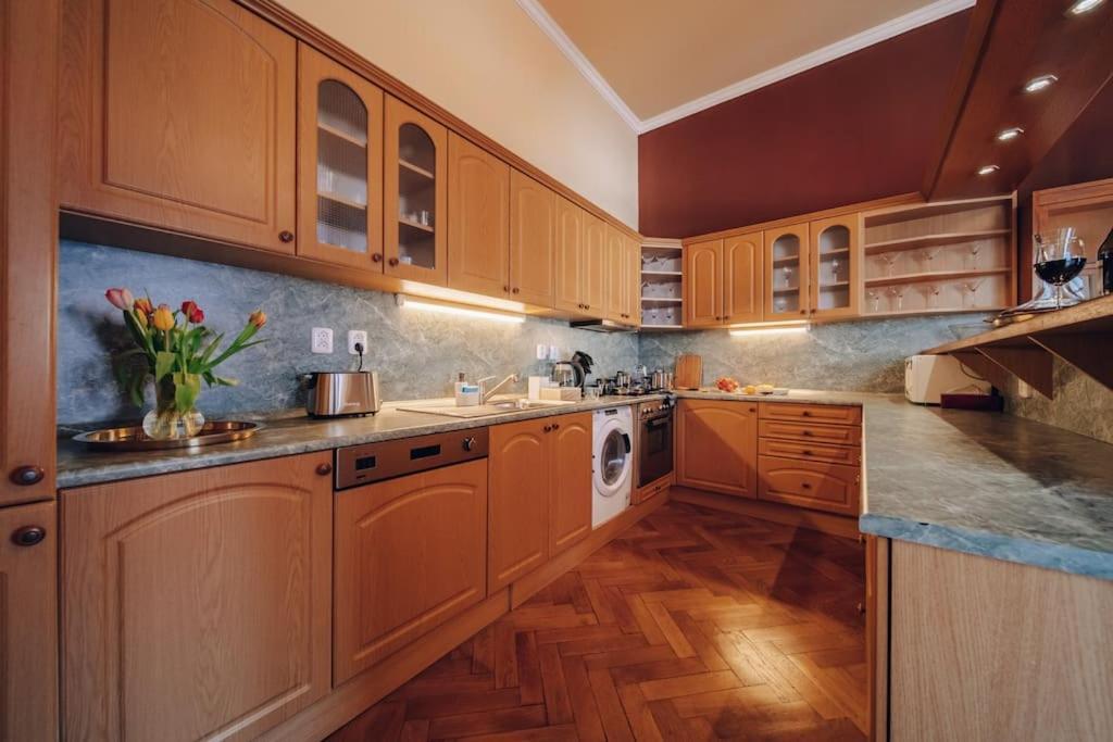 Magnificent Historical Penthouse In The Heart Of Prague Διαμέρισμα Εξωτερικό φωτογραφία