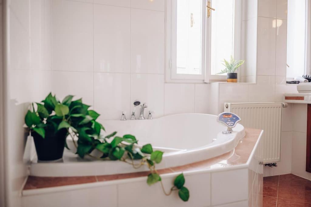 Magnificent Historical Penthouse In The Heart Of Prague Διαμέρισμα Εξωτερικό φωτογραφία